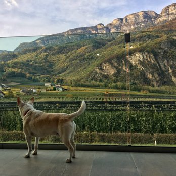 Golfclub Eppan - Beautiful view (street side of hotel) - Golf Near Me - Eppan, BZ