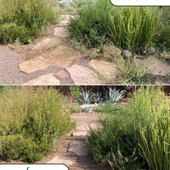 Alexander's Garden Services - Tree Services Near Me