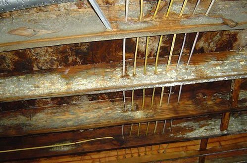 Monarch Group - mold inspector in Willoughby, OH