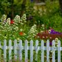 Photo of Fortis Fencing
