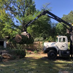 F&M Montoya Tree Service