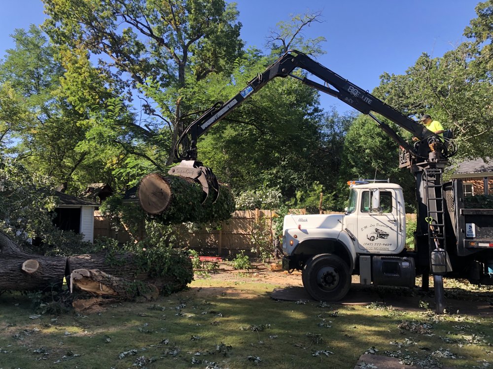 F&M Montoya Tree Service - tree service in Chicago, IL
