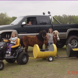 Takotas Ponies