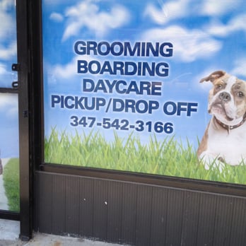 Master Pups - Pet Groomers Near Me - Flushing, New York Master Pups - Pet Groomers Near Me - Flushing, New York
