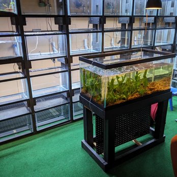 Fishtery LFS - Tank setup for aquarium fish - Local Fish Stores Near Me - Mineral, Virginia