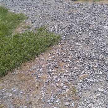 Greenwood Gator Farm - Walking Tours Near Me - Gibson, Louisiana