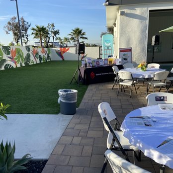 RSL Aquatics - Great event spot and aquatic training. - Swimming Lessons/Schools Near Me - Upland, California