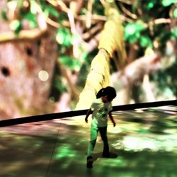 Dancing to the forest