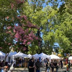 Healdsburg Center for the Arts - Art Festival