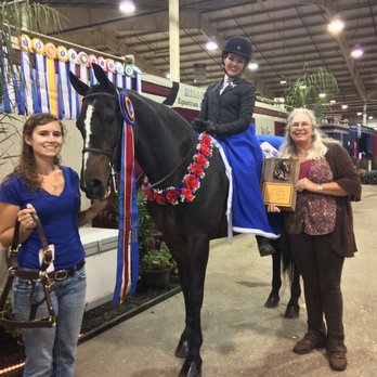 Miller Equestrian Services - Horseback Riding Near Me - Escondido, California