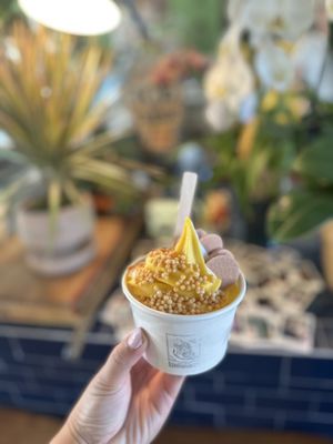 626 Ice Cream by null