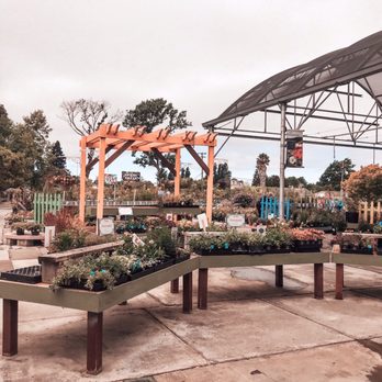 Mid City Nursery - Nurseries & Gardening Near Me - American Canyon, California