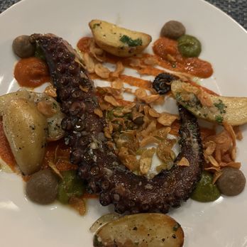 Nesso - Octopus. Huge portion. Could have been crispier. - Italian Near Me - Indianapolis, Indiana Nesso - Octopus. Huge portion. Could have been crispier. - Italian Near Me - Indianapolis, Indiana