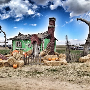 Mile High Farms - Pumpkin Patches Near Me - Bennett, Colorado Mile High Farms - Pumpkin Patches Near Me - Bennett, Colorado