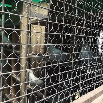 Petit Teton Farm - Squab cage - Fruits & Veggies Near Me - Yorkville, California