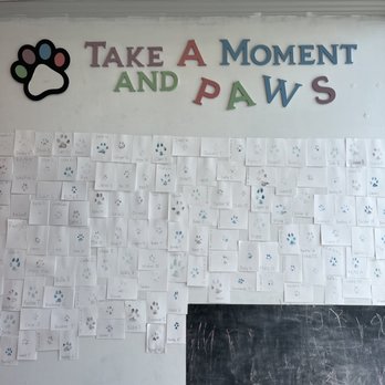 D’s Doggie Do’s - Paw prints of prior Furry Customers - Pet Groomers Near Me - Fort Wayne, Indiana