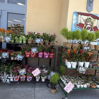 Trader Joe's - Grocery Near Me - Woodland Hills, California