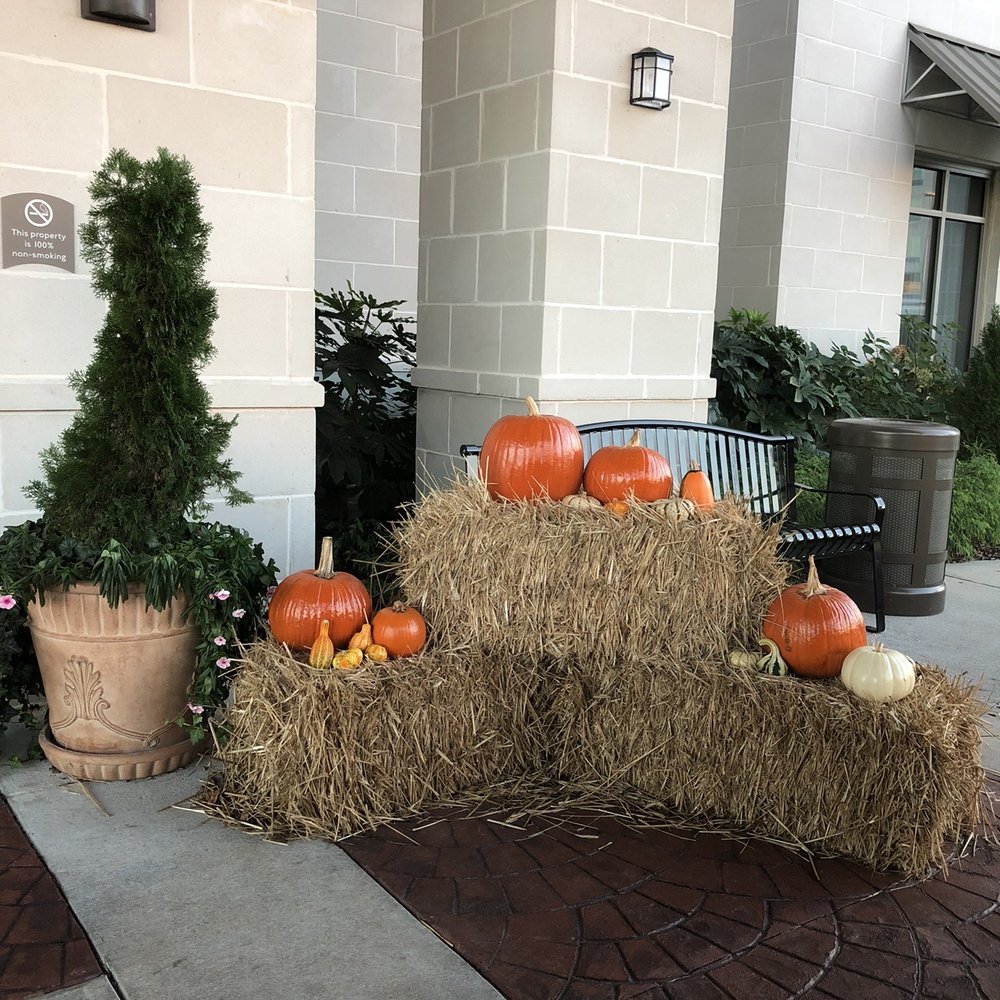 Staybridge Suites Florence - Center - Someone is very artistic. - Hotels Near Me - Florence, South Carolina Staybridge Suites Florence - Center - Someone is very artistic. - Hotels Near Me - Florence, South Carolina