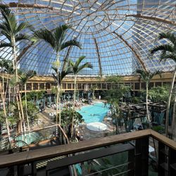 The Pool at Harrah's Atlantic City