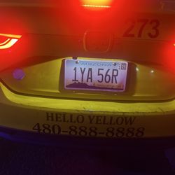 Yellow Cab - Drivers license plate number