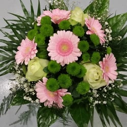 Blumen Grün Punkt
