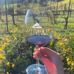 a hand holding a glass of wine a hand holding a glass of wine