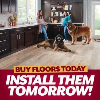 Gary's Floor & Home - a woman and two dogs in a kitchen - Flooring Near Me - Bentonville, Arkansas Gary's Floor & Home - a woman and two dogs in a kitchen - Flooring Near Me - Bentonville, Arkansas