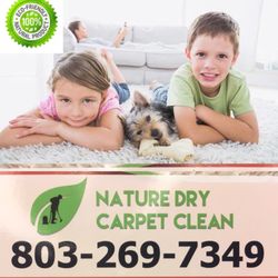 Nature Dry Carpet Clean