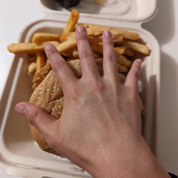 Chicken G's - The sandwich was hefty! Even though I have small hands. - Halal Near Me - Mountain View, California