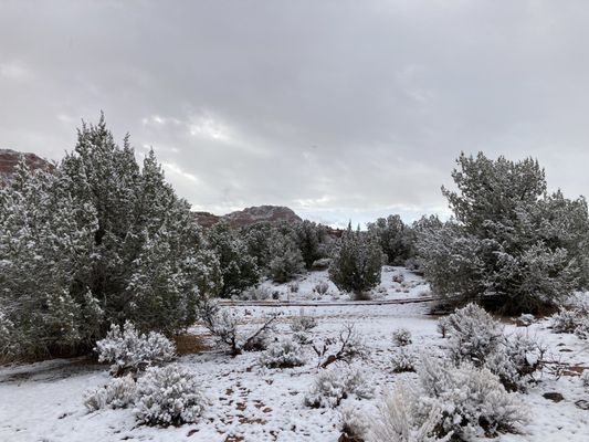 Dreamland Safari Tours by null