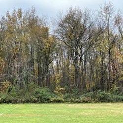 Freedom Barks Dog Park - Open fields