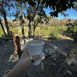 Chai Latte. Chai Latte.