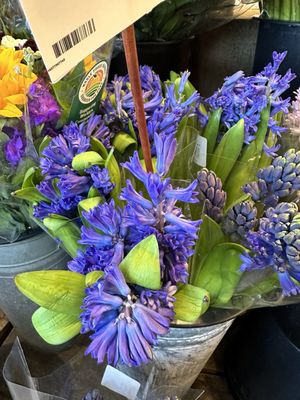 Whole Foods Market by null