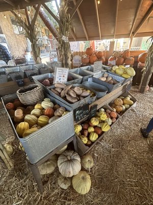 Las Vegas Farmers Market LLC at Floyd Lamb Park by null