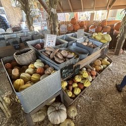 Las Vegas Farmers Market