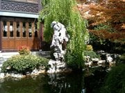 Elizabeth Casey Acupuncture