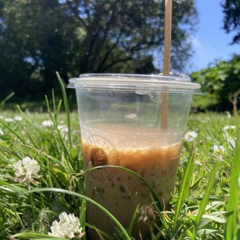 Earth Tone Cafe - Lavender Latte in the sun - Cafes Near Me - San Francisco, California
