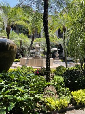 Hotel de la Soledad by null