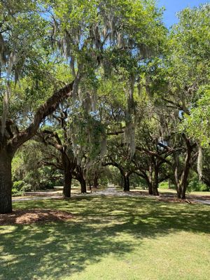McLeod Plantation Historic Site by null