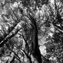 Photo of Hopkinton State Park