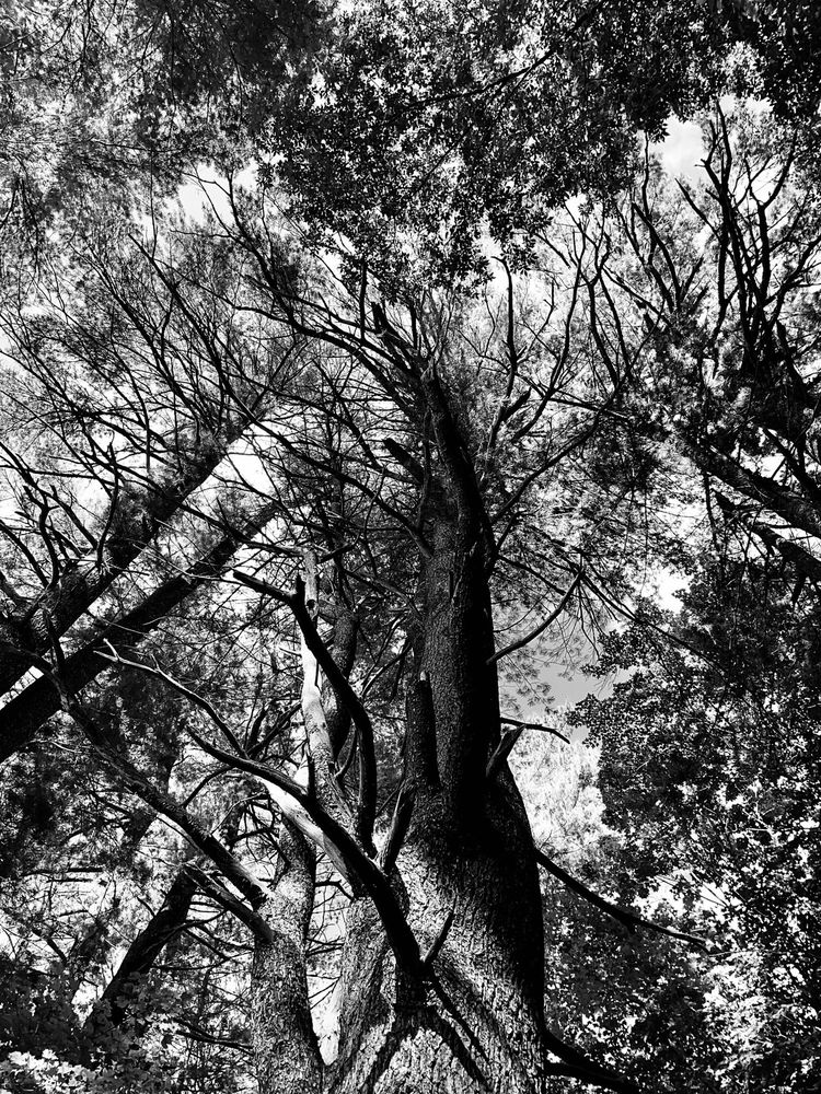 Hopkinton State Park Image