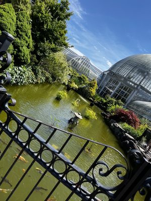 Anna Scripps Whitcomb Conservatory by null