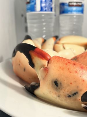 Joe's Stone Crab by null