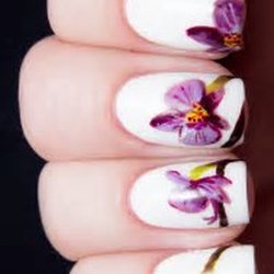 Orchids Nails & Organic Spa