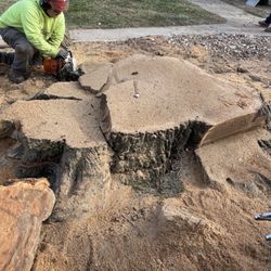Jake's Lawn & Tree Service - Stump service