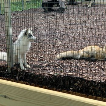 Lucky Ladd Farms - Zoos Near Me - Eagleville, Tennessee Lucky Ladd Farms - Zoos Near Me - Eagleville, Tennessee