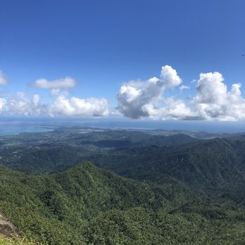 El Yunque Rainforest - Hiking Near Me - Luquillo, Puerto Rico