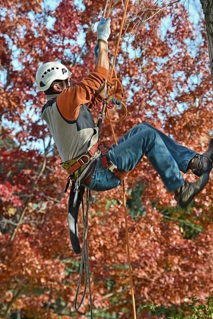 Jim's Custom Tree Care LLC - tree service in Boise, ID