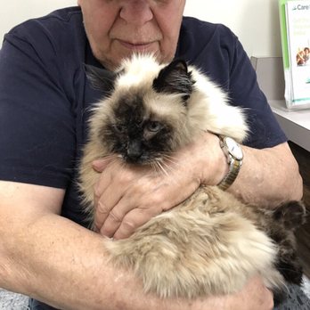 Mokena Animal Clinic - (At the vet) - Veterinarians Near Me - Mokena, Illinois