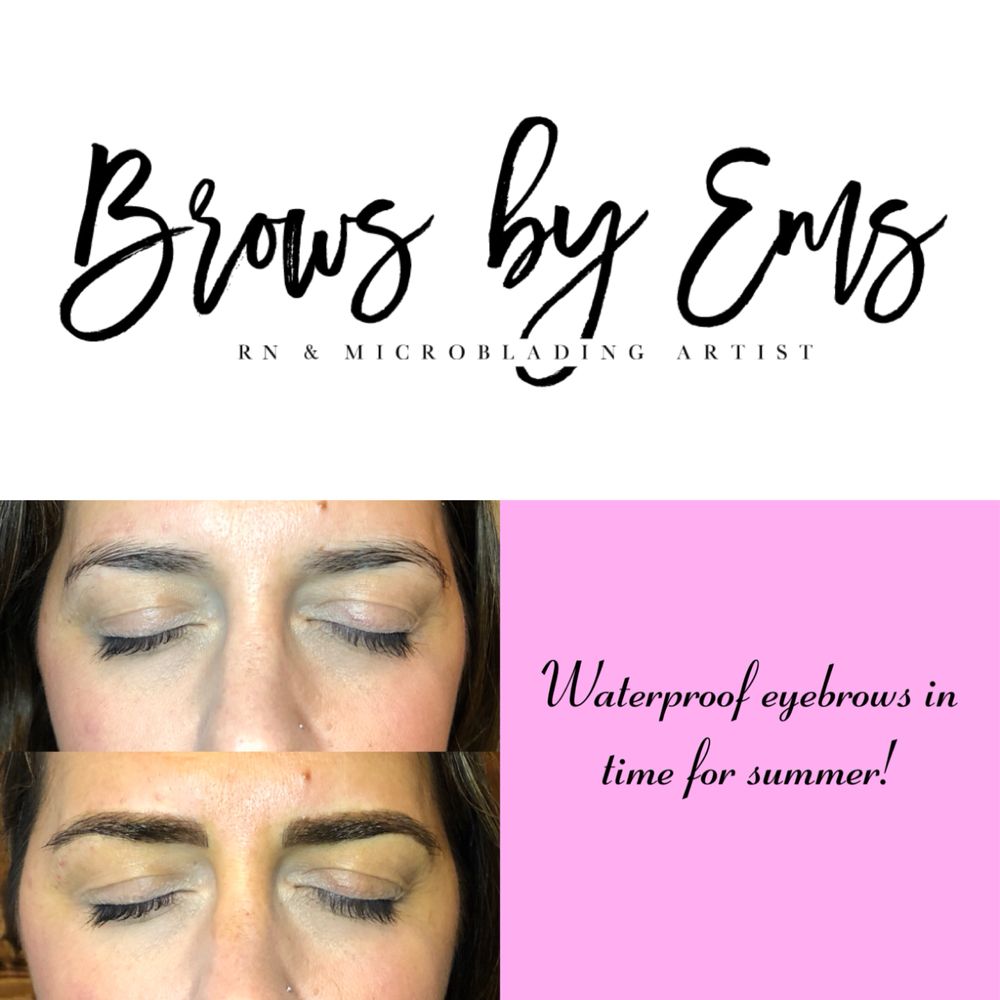Brows By Ems Logo